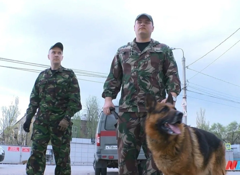 Администрацию Волгоградской области эвакуировали из-за угрозы взрыва